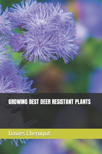 Growing Best Deer Resistant Plants
