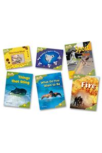Oxford Reading Tree: Level 7: Fireflies: Pack (6 Books, 1 of