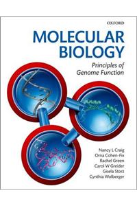 Molecular Biology: Principles of Genome Function