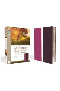 Amplified Bible-Am-Large Print: Captures the Full Meaning Behind the Original Greek and Hebrew