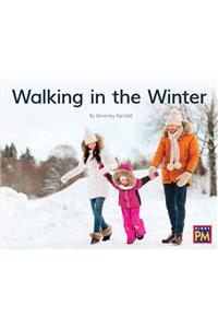 Walking in the Winter