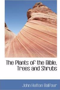 Plants of the Bible, Trees and Shrubs