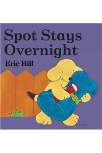 Spot Stays Overnight