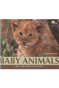 Baby Animals of the Grasslands