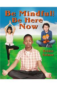 Be Mindful! Be Here Now