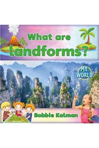 What Are Landforms?