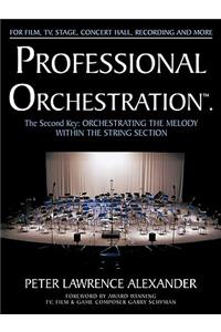 Professional Orchestration Vol 2A