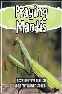 Praying Mantis
