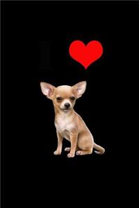 I Love Chihuahua