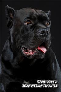 Cane Corso 2020 Weekly Planner