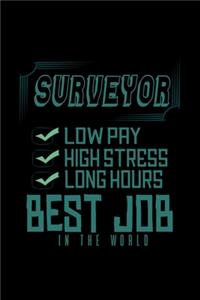 Surveyor