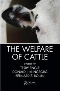 The Welfare of Cattle