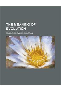 The Meaning of Evolution