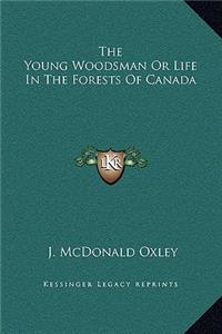 The Young Woodsman Or Life In The Forests Of Canada