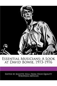 Essential Musicians