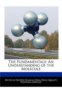 The Fundamentals