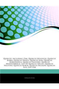 Articles on Quercus, Including: Oak, Quercus Kelloggii, Quercus Rubra, Quercus Prinus, Quercus Alba, Quercus Marilandica, Quercus Palustris, Quercus M