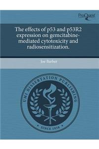 What Is the Experience of Being a Woman Business Owner in Southwestern Pennsylvania?