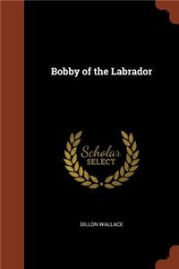 Bobby of the Labrador