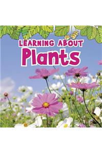Learning about Plants