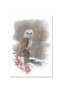 Mini Box: Winter Owl