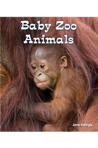 Baby Zoo Animals