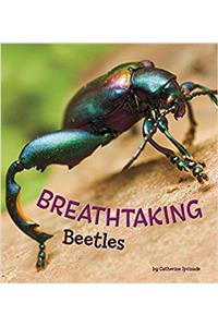 Breathtaking Beetles (A+ Books: Marvellous Minibeasts!)