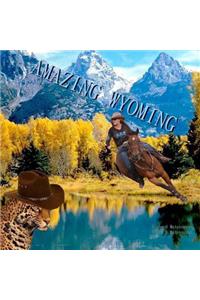 Amazing Wyoming