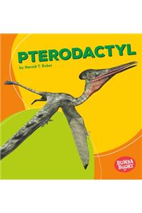 Pterodactyl