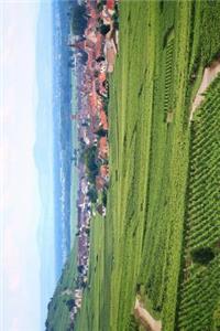 Vineyard and Small Village in Alsace France Journal
