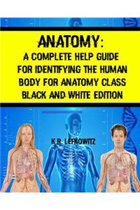 Anatomy