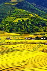 Field Journal