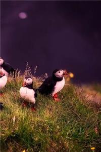 Puffin Birds Notebook
