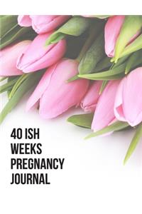 40ish Weeks Pregnancy Journal