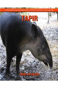 Tapir