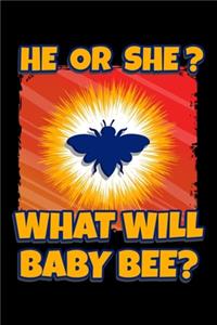 He Or She? What Will Baby Bee?