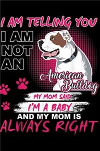 I am telling you I am not an american bulldog my mom said I'm a baby and my mom is always right