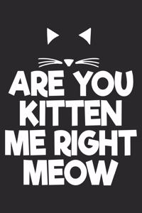 Are You Kitten Me Right Meow