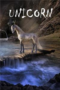 Unicorn: Unicorn, Notebook, Gift, Funny, Journal, Diary (6 X 9; 112)