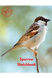 Sparrow Sketchbook