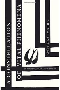 A Constellation of Vital Phenomena