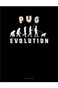 Pug Evolution