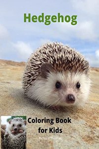 Hedgehog Coloring Book for Kids