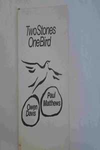 TWO STONES ONE BIRD