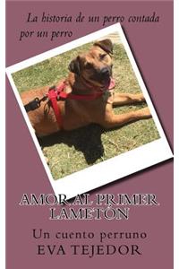 Amor a primer lameton