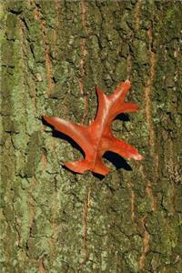 Oak Tree Bark and a Single Leaf Journal