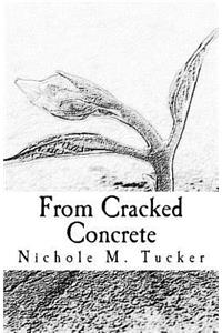 From Cracked Concrete