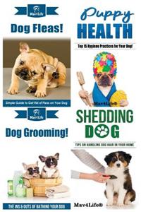 Dog Fleas! & Puppy Health! & Dog Grooming! & Shedding Dog?