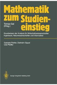 Mathematik Zum Studieneinstieg: Grundwissen Der Analysis Fur Wirtschaftswissenschaftler, Ingenieure, Naturwissenschaftler Und Informatiker