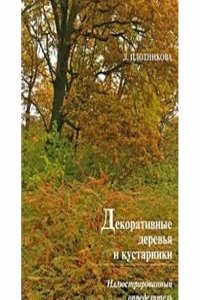 Epistolae P. Alphonsi Salmeronis, Societatis Jesu